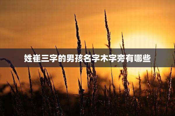 姓崔三字的男孩名字木字旁有哪些
