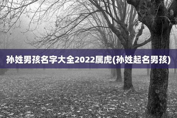 孙姓男孩名字大全2022属虎(孙姓起名男孩)