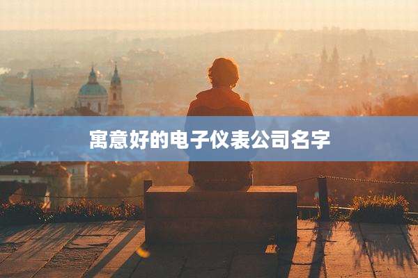 寓意好的电子仪表公司名字