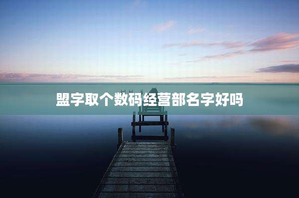 盟字取个数码经营部名字好吗