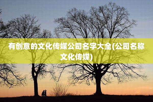 有创意的文化传媒公司名字大全(公司名称文化传媒)