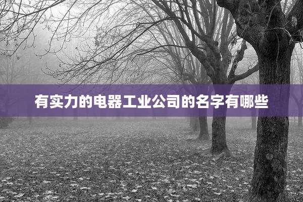 有实力的电器工业公司的名字有哪些