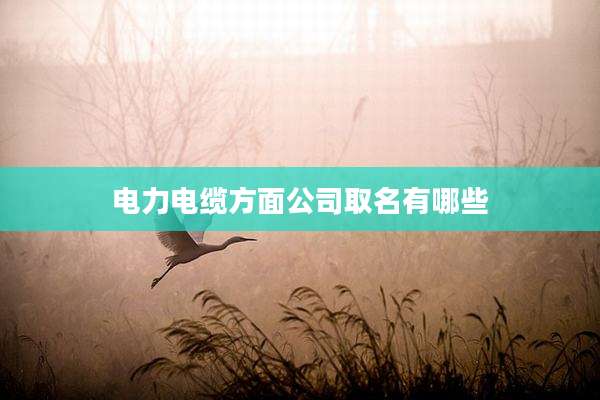 电力电缆方面公司取名有哪些