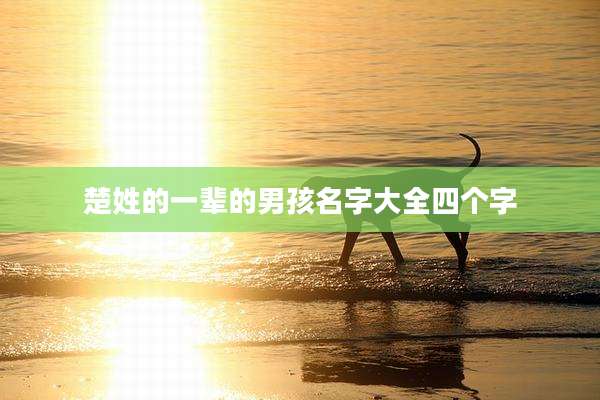 楚姓的一辈的男孩名字大全四个字
