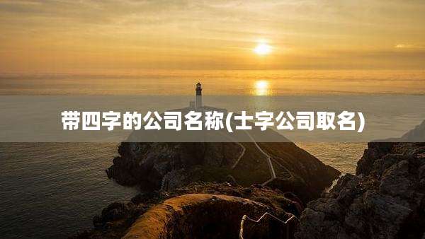 带四字的公司名称(士字公司取名)