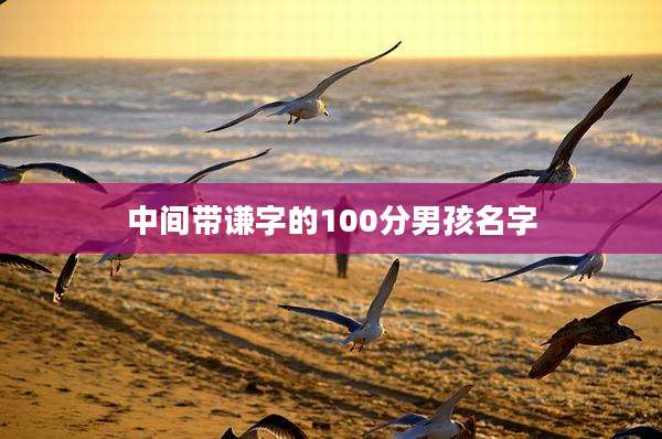 中间带谦字的100分男孩名字