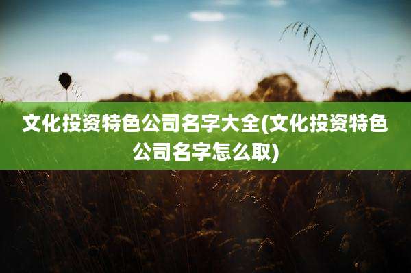 文化投资特色公司名字大全(文化投资特色公司名字怎么取)
