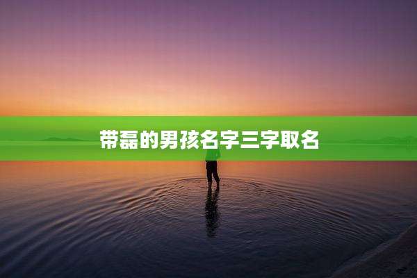 带磊的男孩名字三字取名