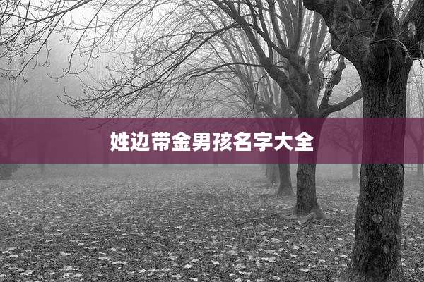 姓边带金男孩名字大全