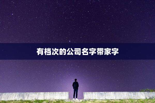 有档次的公司名字带家字