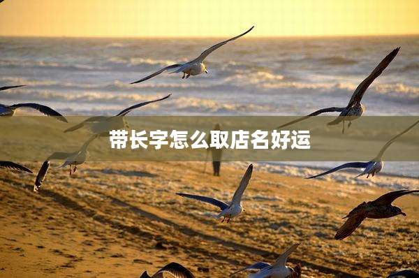 带长字怎么取店名好运