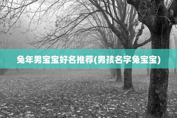 兔年男宝宝好名推荐(男孩名字兔宝宝)