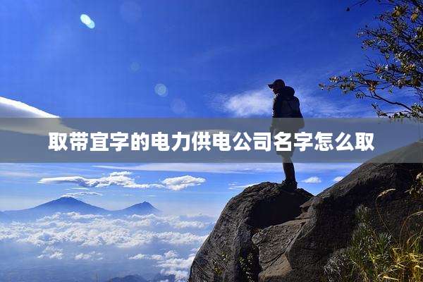 取带宜字的电力供电公司名字怎么取