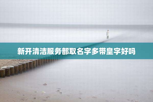 新开清洁服务部取名字多带皇字好吗