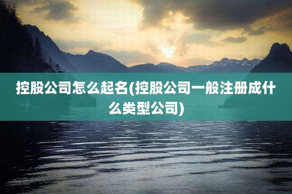 控股公司怎么起名(控股公司一般注册成什么类型公司)