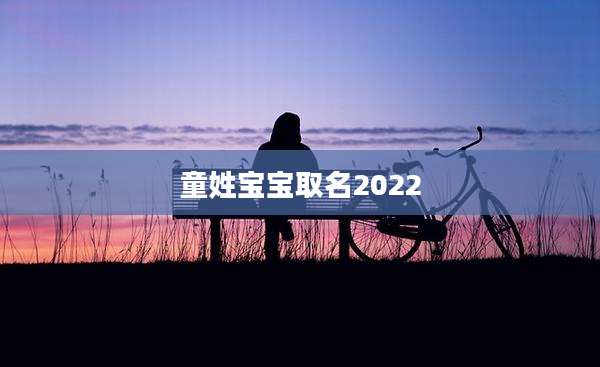 童姓宝宝取名2022