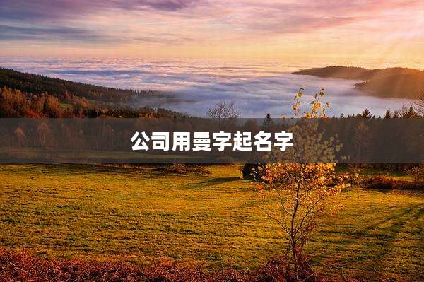 公司用曼字起名字