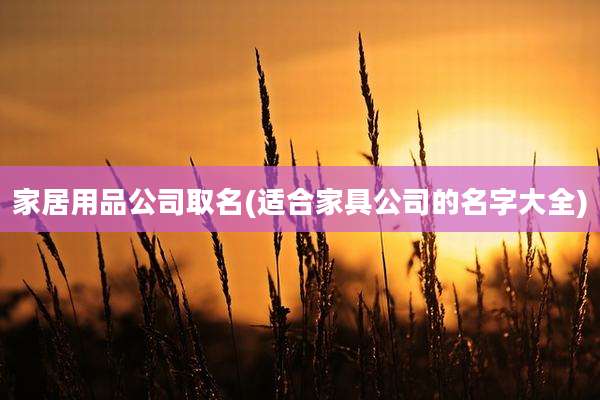 家居用品公司取名(适合家具公司的名字大全)