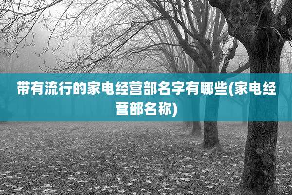 带有流行的家电经营部名字有哪些(家电经营部名称)
