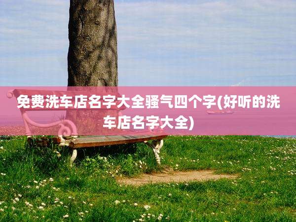 免费洗车店名字大全骚气四个字(好听的洗车店名字大全)