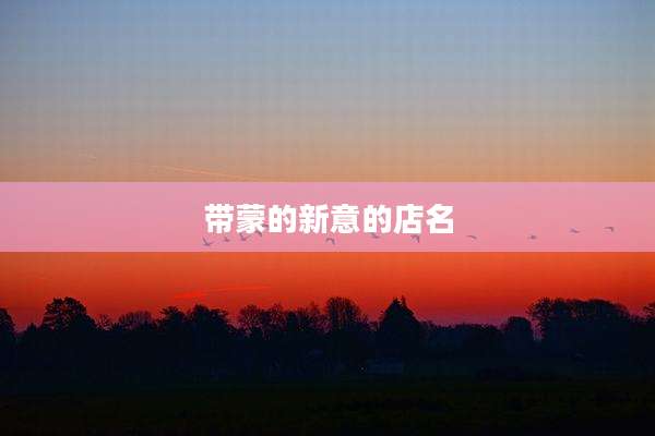 带蒙的新意的店名