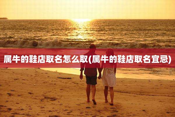 属牛的鞋店取名怎么取(属牛的鞋店取名宜忌)