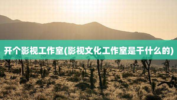开个影视工作室(影视文化工作室是干什么的)