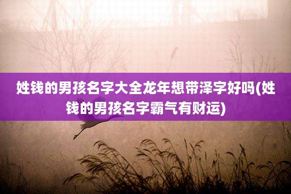 姓钱的男孩名字大全龙年想带泽字好吗(姓钱的男孩名字霸气有财运)