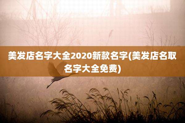 美发店名字大全2020新款名字(美发店名取名字大全免费)
