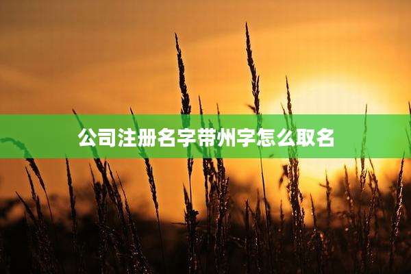 公司注册名字带州字怎么取名