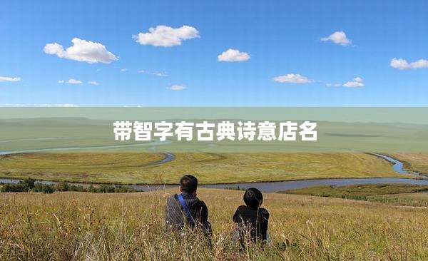 带智字有古典诗意店名