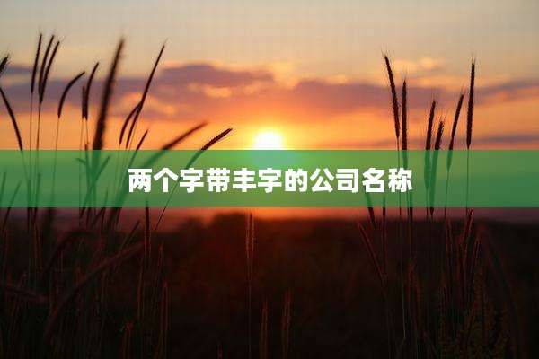 两个字带丰字的公司名称