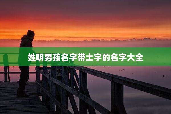 姓明男孩名字带土字的名字大全