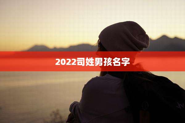 2022司姓男孩名字