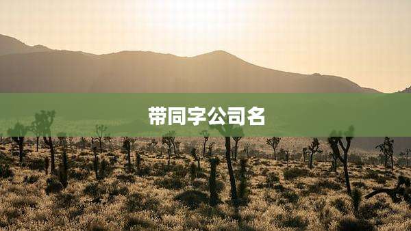 带同字公司名