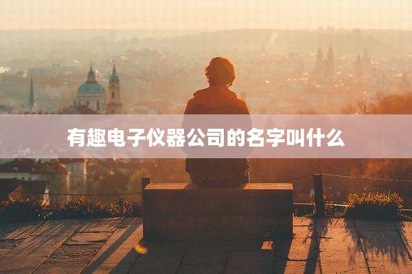 有趣电子仪器公司的名字叫什么