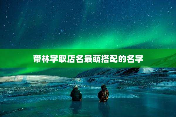带林字取店名最萌搭配的名字