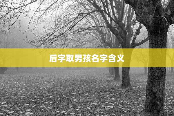 后字取男孩名字含义