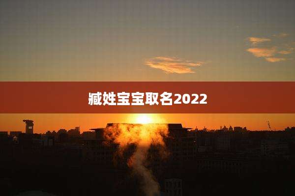 臧姓宝宝取名2022