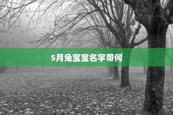 5月兔宝宝名字带何