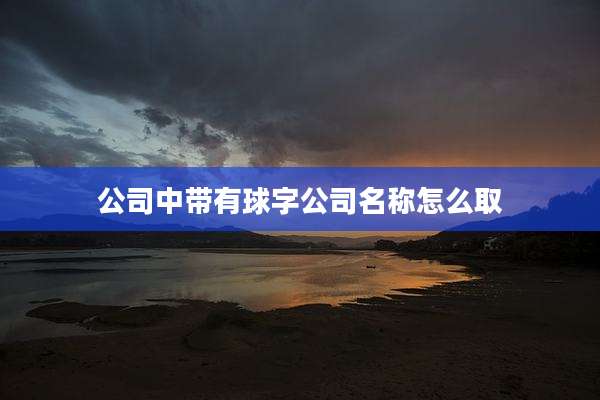 公司中带有球字公司名称怎么取