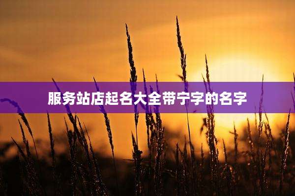 服务站店起名大全带宁字的名字