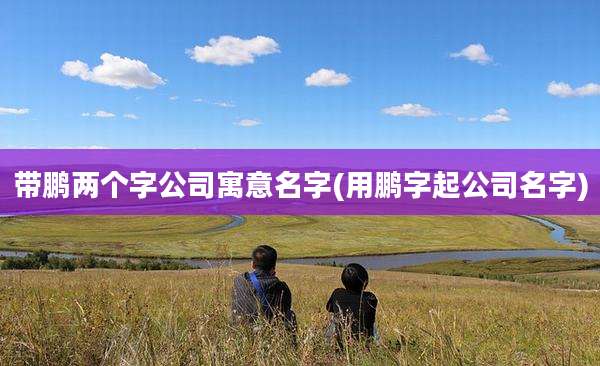 带鹏两个字公司寓意名字(用鹏字起公司名字)