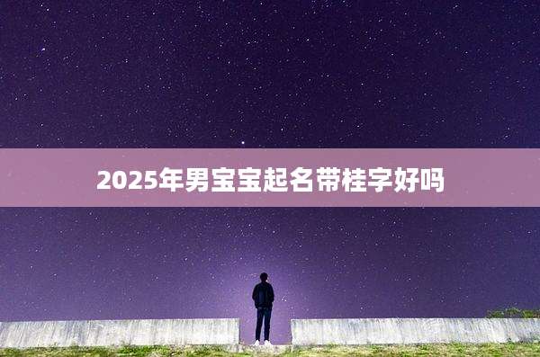 2025年男宝宝起名带桂字好吗