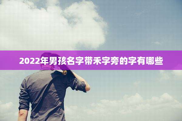 2022年男孩名字带禾字旁的字有哪些