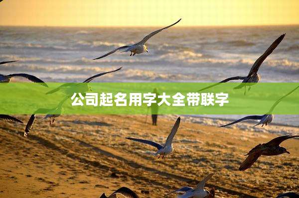公司起名用字大全带联字