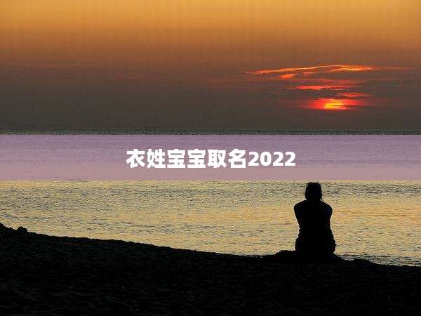 衣姓宝宝取名2022