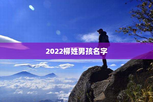 2022柳姓男孩名字