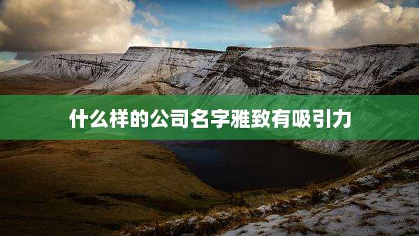 什么样的公司名字雅致有吸引力