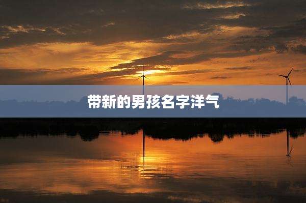 带新的男孩名字洋气